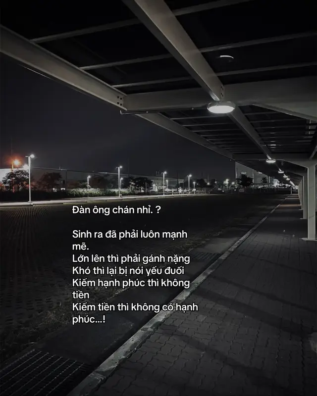 #pvd_van204 #xuhuong #tamtrang #fbtxuhuong 