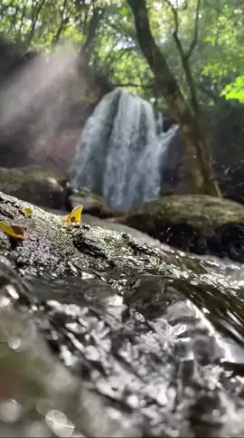 Salto Berrondo, Oberá misiones  #salto #misiones #tierracolorada  #atardeceresperfectos #fypシ゚ 