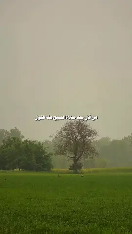 دعاء جدأ مهم بعد صلاة الصبح لايفوتكم #اللهم_صل_على_محمد_وآل_محمد #الحمد_الله_داما_وابدا #لاحول_ولا_قوة_الا_بالله #اللهم_عجل_لوليك_الفرج #اللهم_لك_الحمد_ولك_الشكر 