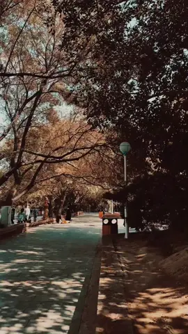 لَقد أشتاق سَمعي مِنكَ لَفظاً .. . . . .#اكسبلور #explore #اكسبلور_explore #تصويري #explorepage 