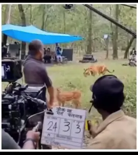 #xuhuong #tiktok #viral #thinhhanh #thếgiớiđộngvật 