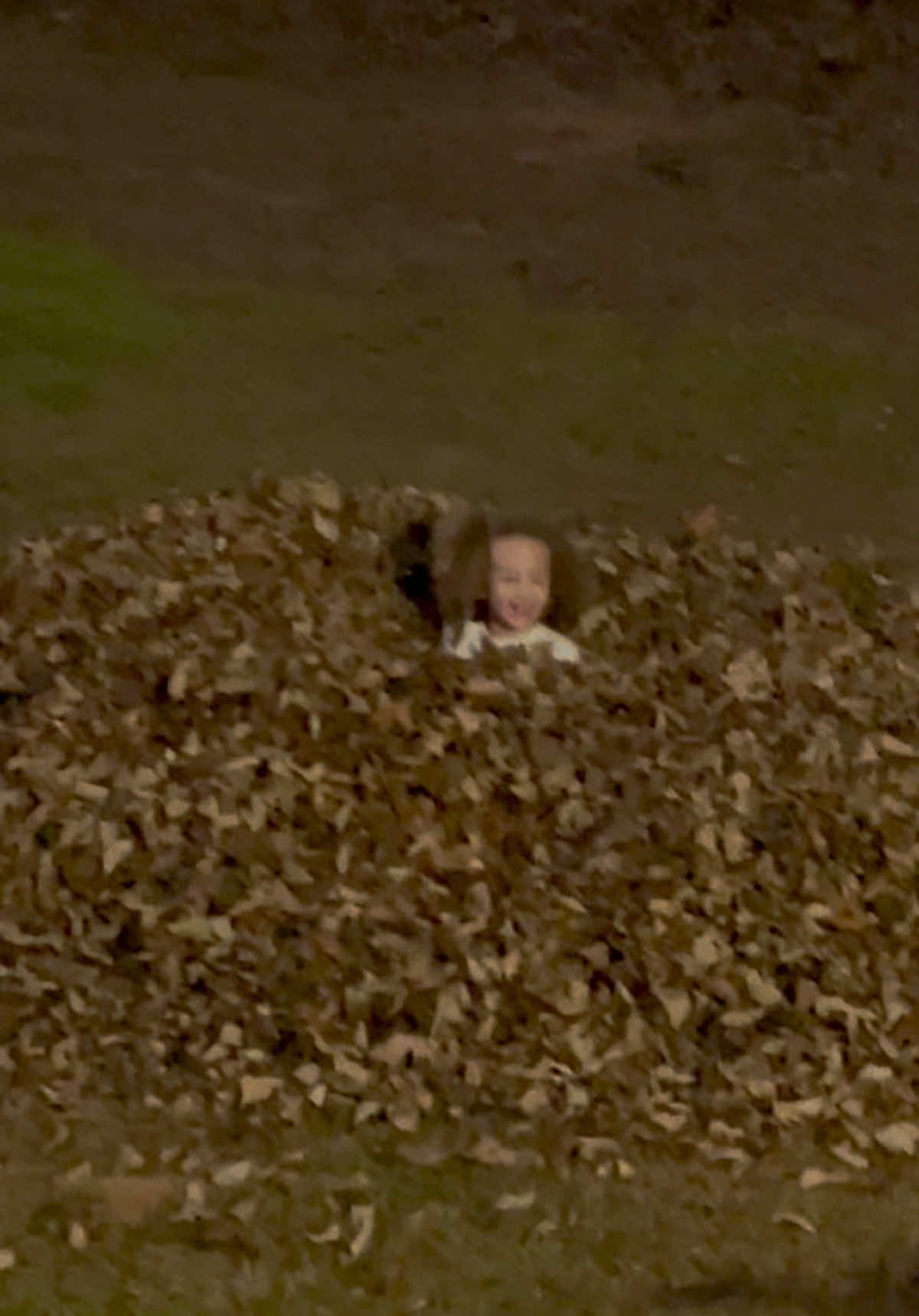 #dogsoftiktok #toddlersoftiktok #funny #fall #thatwasalmostreallybad For licensing or usage, contact licensing@viralhog.com