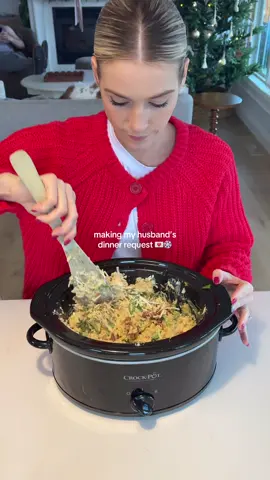 Creamy chicken orzo ❤️🥣  • 2 chicken breasts, diced • 1 tsp salt • 1 tsp black pepper • 1 tsp Italian seasoning • 1 tsp red pepper flakes • 1 cup chopped sun-dried tomatoes (no oil) • 1 tbsp minced garlic • 1 cup diced white onion • ½ cup low-sodium chicken broth • 1 cup heavy cream • 1 cup orzo • 1 cup roughly chopped spinach • 1 cup parmesan How to make it  Add chicken, seasoning, chicken broth and sun dried tomatoes to the crockpot. Cook on low for 3 hours.  Add the orzo & the heavy cream. Cook for 40 minutes.  Stir in spinach and parmesan and serve 🤌🏼 #crockpotrecipes#slowcookerrecipesm#marrymearchickeneasydinner #DinnerIdeas#familydinner  