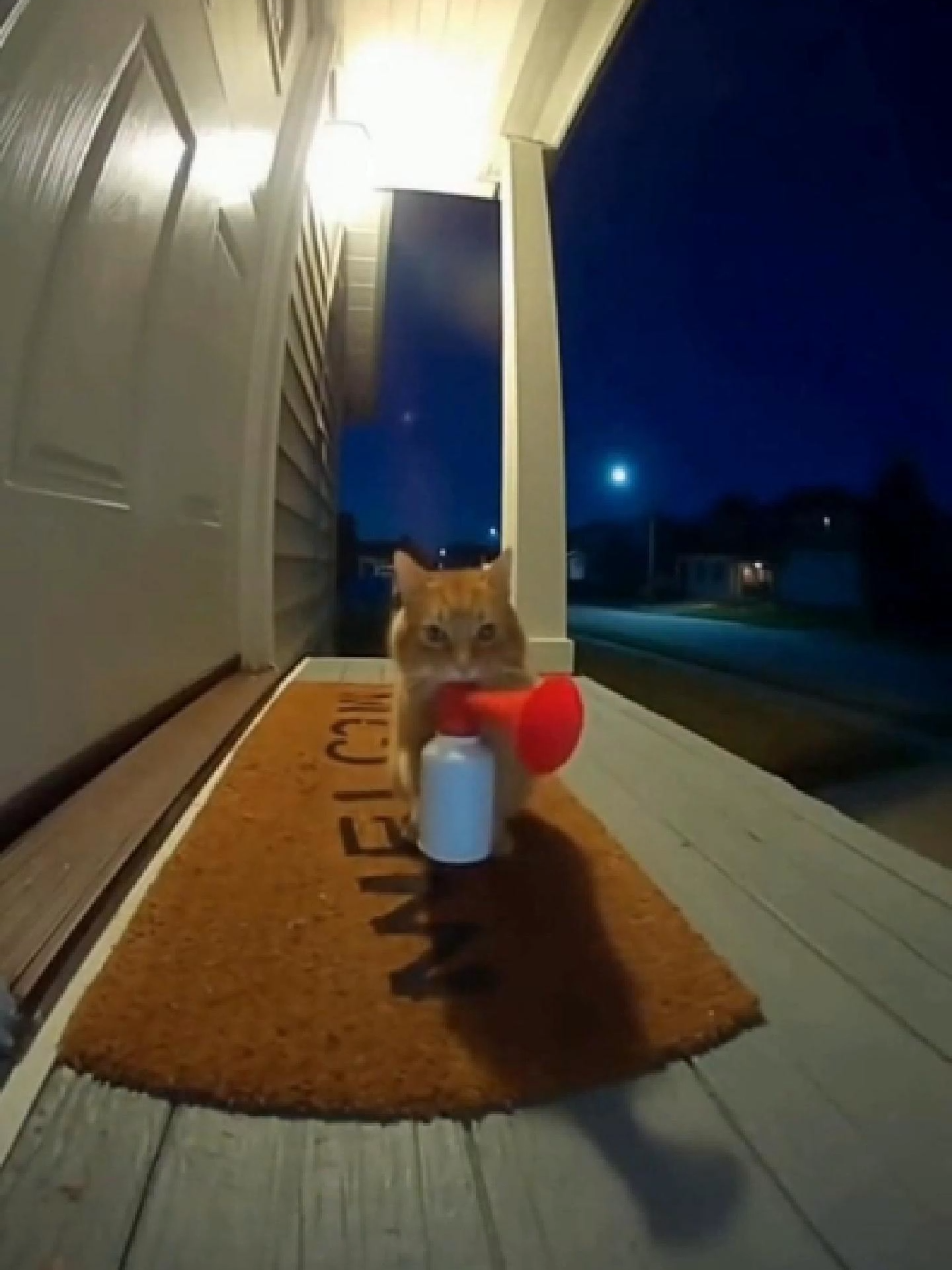 Cat Honks the Air Horn 🐱📢 #SORA #funny #cat #airhorn #fyp