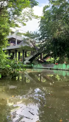POV : numpak perahu neng KBS #surabayazoo #kebunbinatangsurabaya #wisatasurabaya #tiktokviral #fyp 