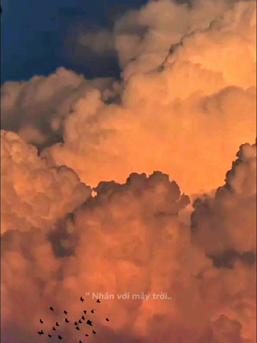 Từ bỏ không phải là  buông xuôi , mà là trả  tự do cho những thứ  không thuộc về mình , về  đúng quỹ đạo của nó ...#moc89 #radio #trending #bautroi 