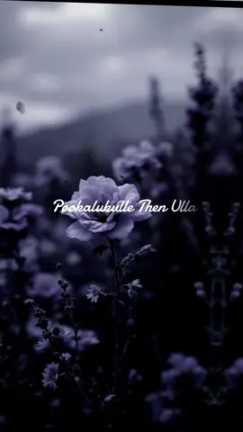 Kaatre En Vaasal Vanthaai#tamillovesong #Love #melody #trending #whatsappstatus 