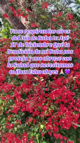 #Iyalorde🌻🌻🌻🌻🌻🍯 