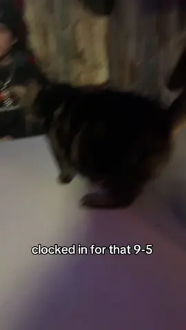 no more scratches for the night ☹️ #fypシ #fyp #thankyouthankyouthankyou #thankyou 