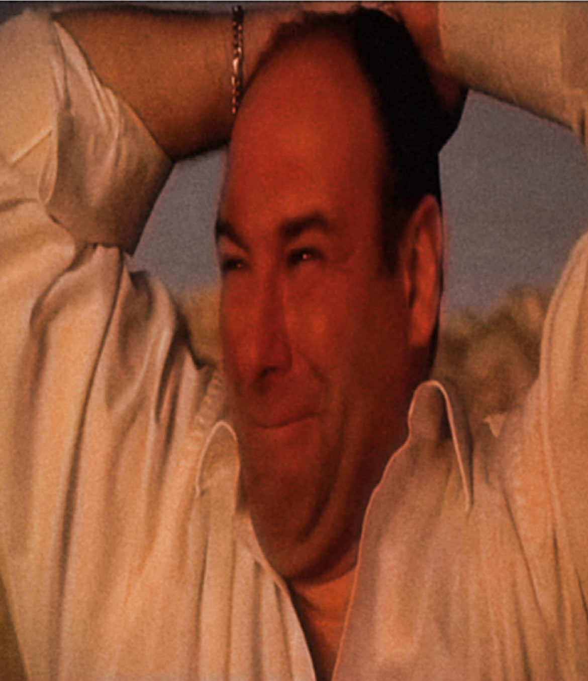 He’s dead #sopranos #tonysoprano #hbomax #fyp #viral 