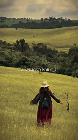 🥺🤍 #louvor #gospel #hino #status 