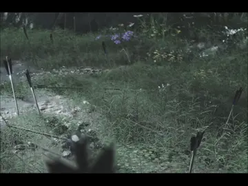 🤧 ruby #wherewindsmeet #allfake 