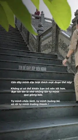 Tự mình chữa lành, tự mình buông bỏ, rồi tự mình trưởng thành🪷#phatphapnhiemmau #họcphatphapmoingay #loiphatday #xuhuongtiktok 