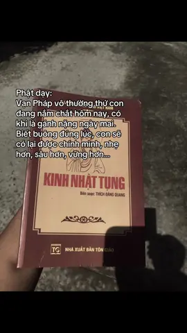 #nammodaibiquantheambotat #phatphapnhiemmau #nammoadidaphat #chuakhanhlamdatset 