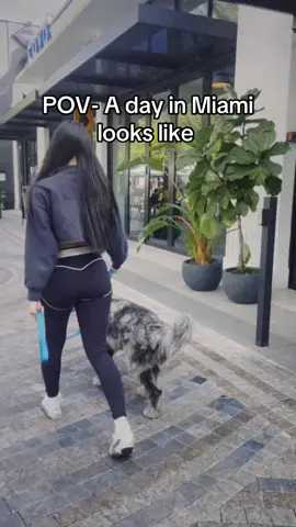 #viral #yourgurlbianca #fyp 