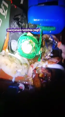 menyelam tidak terasa sudah pagi #spot #fyppppppppppppppppppppppp #fypシ゚viral #matapancing #spearfishing_worldwide 