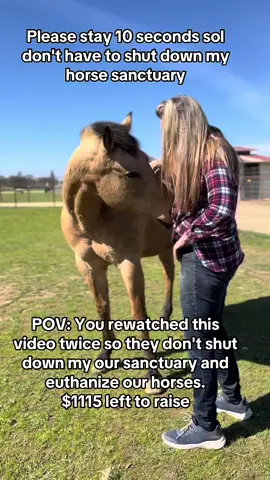 POV: You rewatched this video twice so they don't shut down my our sanctuary and euthanize our horses. $1115 left to raise #HorseShelter #HorsePlus #ADOPTED #DynamicDuo #EndBigLick #Endanimalabues #JusticeForTWH 