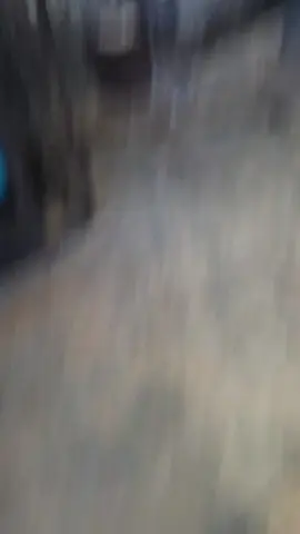 Durian 🔥🔥 @raybravosinurat_ Tidak ada kata-kata yg penting MELUNCUR🚀🔥🚀🔥 #l300maniaindonesia #l300_pickup #durian #durianspeed🤟 #fypシ 