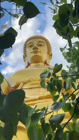 พระพุทธธรรมกายเทพมงคล  #วัดปากน้ําภาษีเจริญ 