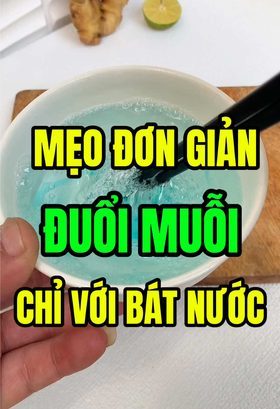Mẹo đuổi muỗi chỉ với bát nước đơn giản hiệu quả🇻🇳🇻🇳🇻🇳#thuongthattha #meovat #nhabep #viral #tiktok 
