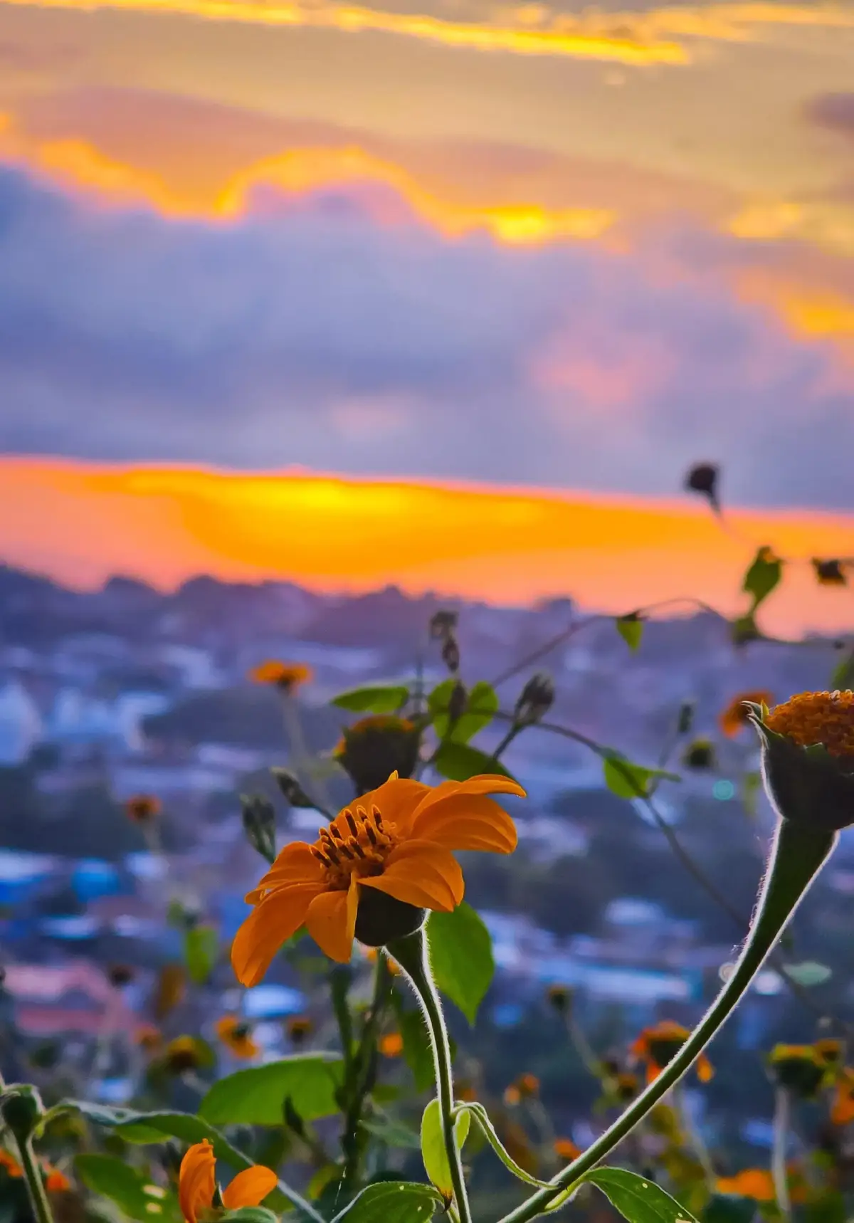 ##sunsetlover #parati  #elsalvador🇸🇻 #pulgarcito 