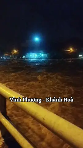 🥹🥹 từ đêm qua đến sáng sớm nay , khu vực Vĩnh Phương _ Khánh Hoà ! Mọi người ơi , cẩn thận nha #mèoem #lũlụt #mưagióbãobùng #ngập_lụt #khánhhoà 