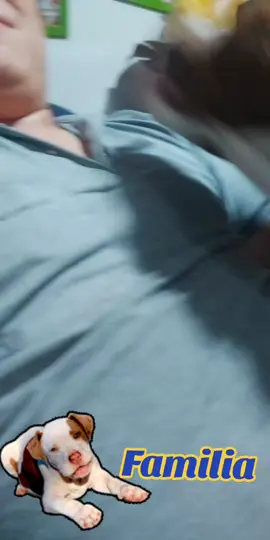 #tiktoklive #livehighlights  #felicidad #divertido  #humor  Todo lo que un sueño necesita para hacerse realidad es que alguien crea que puede hacerse realidad...