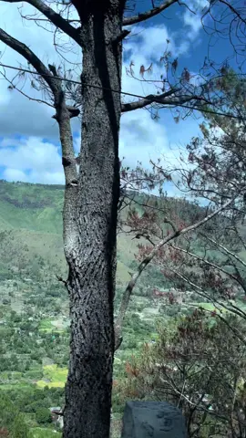 Pertahankan pesonamu ya, tunggu aku kembali dengan orang yang tak kalah pesonanya denganmu #danautobasamosir #danautobaview #danautobapunyacerita 