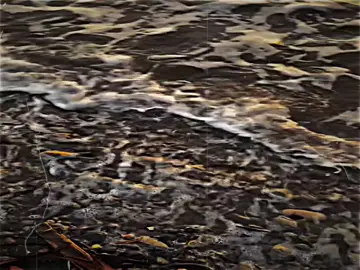 >>အလွတ်😞 #mghein #alightmotion #views #foryoupage #viralvideo 