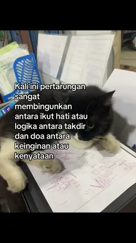 #fyppppppppppppppppppppppp #fyp 