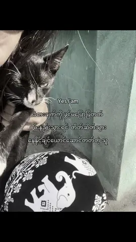 ပစ်ထားရင် အတွေးလွန်#fyp 