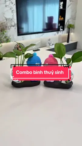 Combo chậu thuỷ sinh #giadungthongminh #fyp #chauthuysinh 