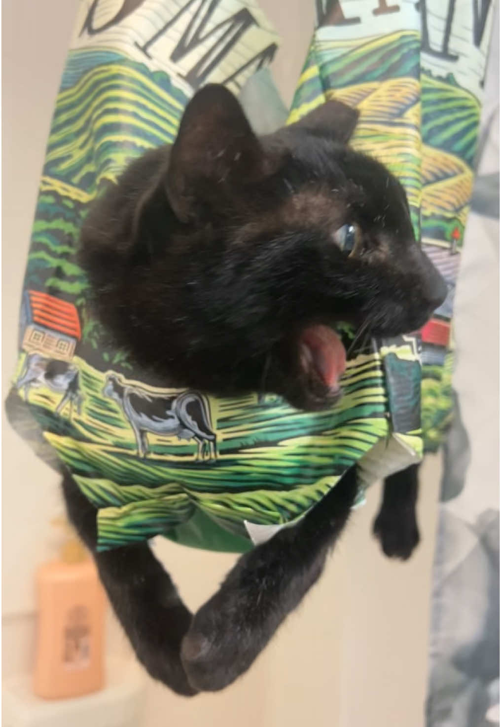 Gotta do what u gotta do 🫡  #catsoftiktok #blackcat #nailtrim #meow 