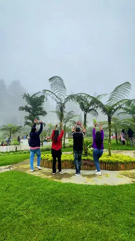 Abaikan kesalahanku 🤣 @@Zie_Dita Varmousa @Dewi Shan Shan @dani arif khan 