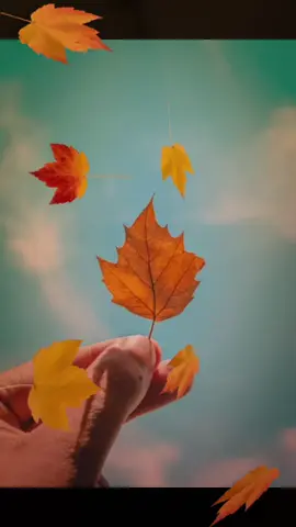 Em cứ sống cuộc đời như chiếc lá #danhthucgiongnoiquyennangcungsky #tranminhnguyet #LearnOnTikTok #HanhTrinhLuyenGiong 