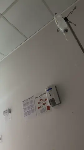 #fyp #مستشفى_الملك_خالد #اكسبلور #حفرالباطن #تنويم