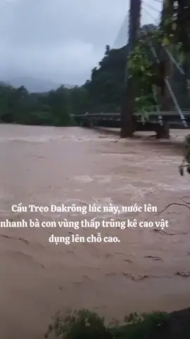 #quangtri74 #thinhhanh #xuhuớng #vairal #foryourpage 