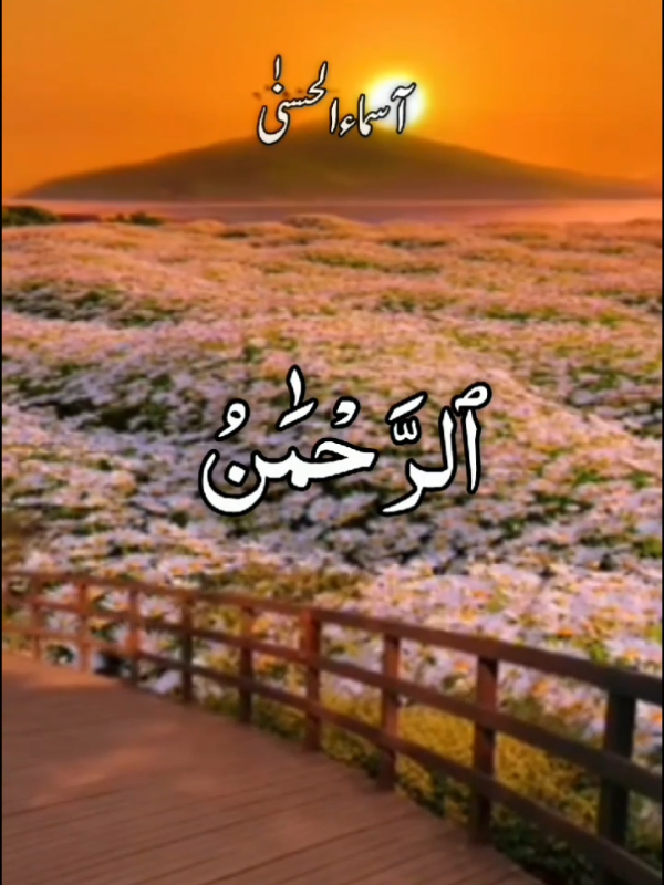 Part 41 || #آسماء_الله_الحسني #99_names_of_allah #القران_الكريم_راحه_نفسية😍🕋 #ماشاءالله_تبارك_الله #ارح_سمعك_بالقران @The Quran Flow 