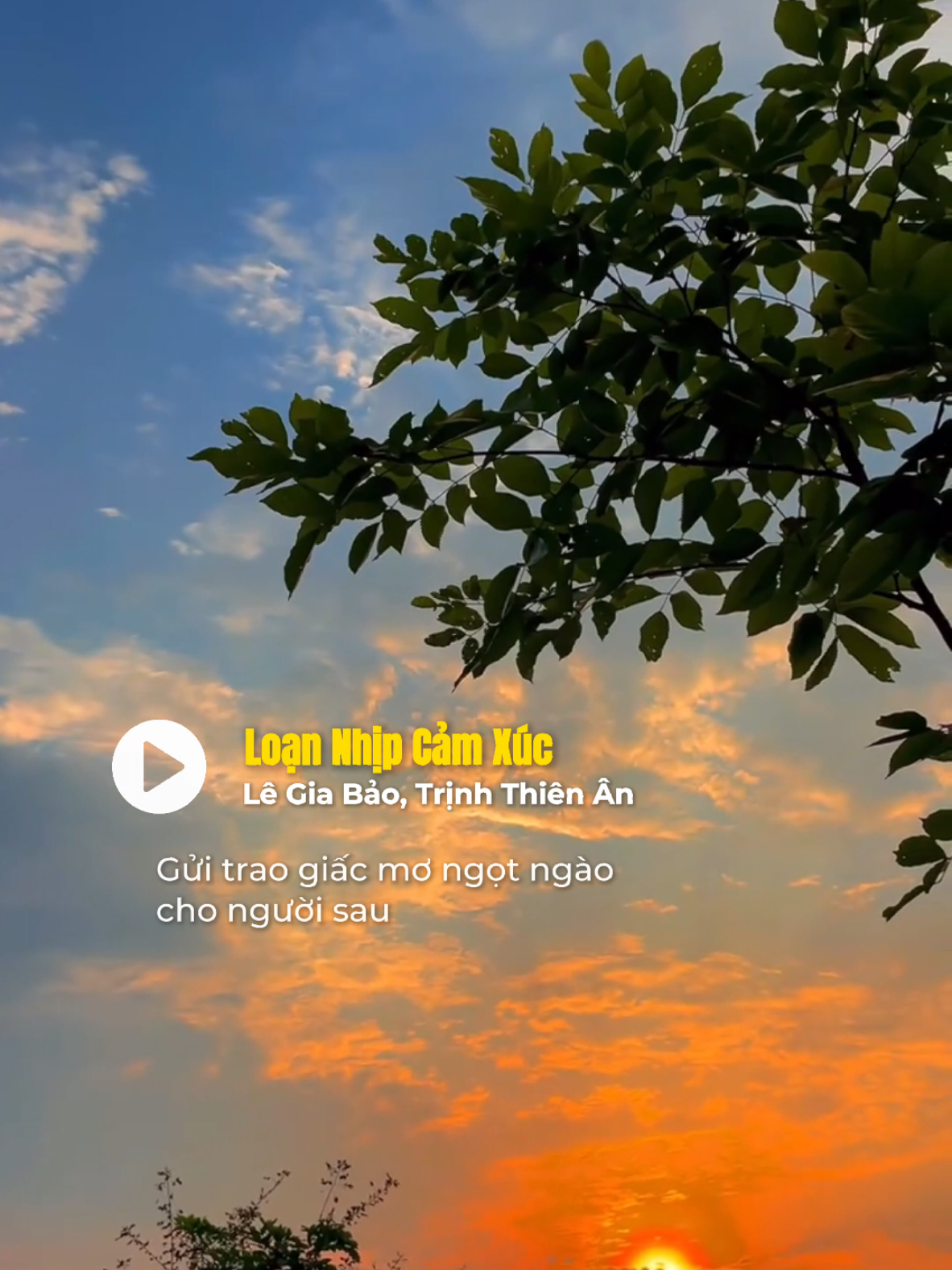 nhịp cảm xúc #BMZ #LeGiaBao #TrinhThienAn #LoanNhipCamX #vpop 