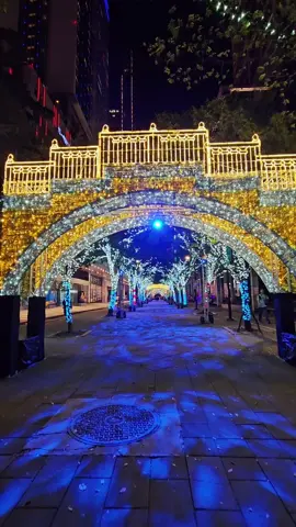 Lampu pohon sekitaran Taipei City Hall ,mulai dari exit 2,exit 3 sampai Taipei 101