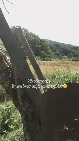 #99 #ยาปิดการมองเห็นนะ #tiktok 