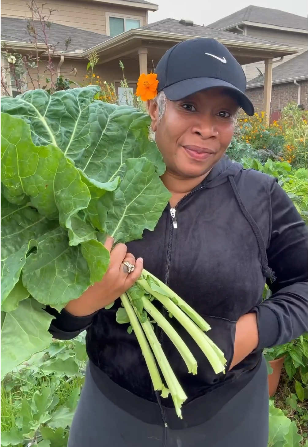 Focusing on building healthy, living soil isn't just a gardening tip-it's the entire game. It's the difference between small, struggling collards and giant, tender, prize-winning ones that make your neighbors wonder what your secret is. 