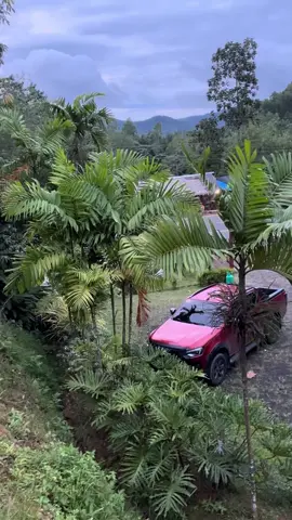 Enjoy life with your wife