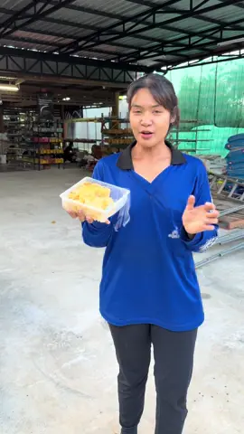 ขนมปังตะมุตะมิ #เฟิร์นวัยรุ่นสวนปาล์ม #เขาพนมกระบี่ #วัยรุ่นสร้างตัว 