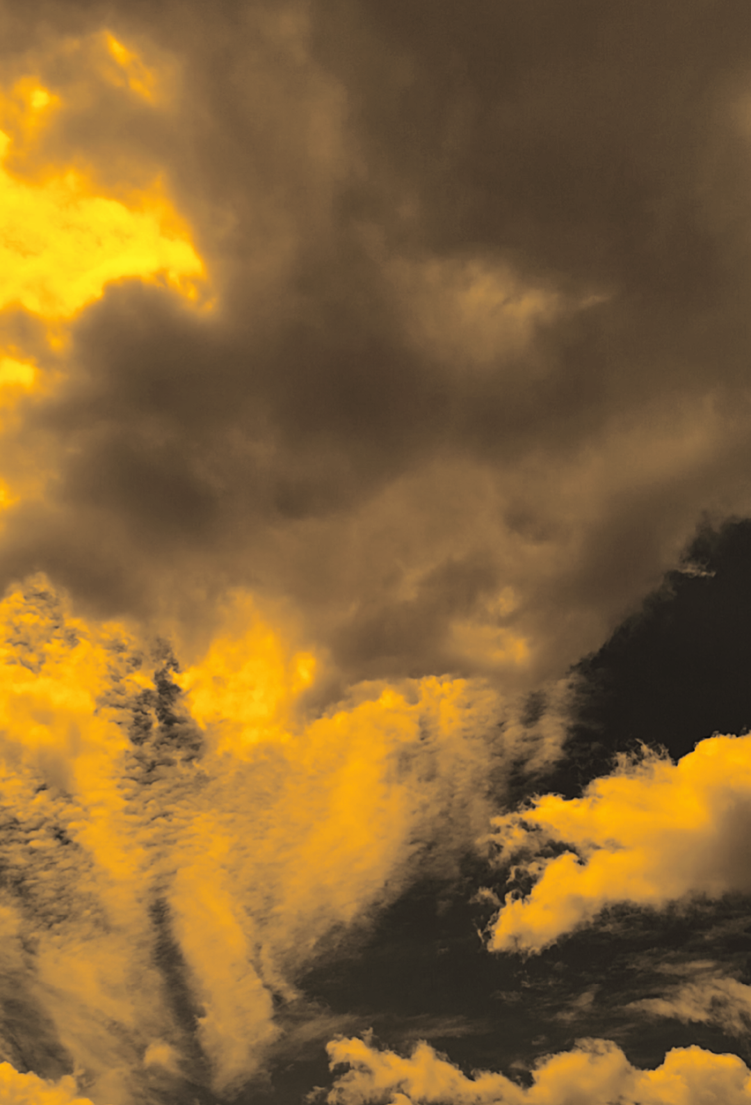 ya Allah yang tertunda di tahun ini,tolong wujudkan di tahun depan  #syairarab #quotesislam #fyppppppppppppppppppppppp#bismillahfyp 