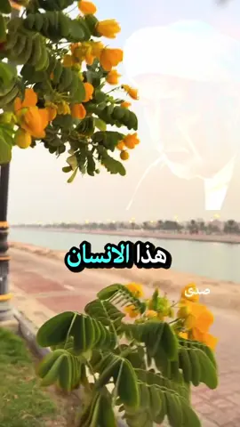 الشيخ احمد الوائلي هذا الانسان ضعيف ويكسر الخاطر #الشيخ_احمد_الوائلي #الوائلي_روح_المنبر_الحسيني #الوائلي #احمد_الوائلي_رحمه_الله #الشيخ_الوائلي @🌹نور فاطم🌹 @🌜ضي القمر🌛 @🇸🇦 Fadel  فاضل 🇸🇦 @نرجس 📿E🕊 