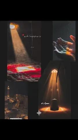 #creatorsearchinsights #fyp #trendingtiktok #foruyou #foryoupage 