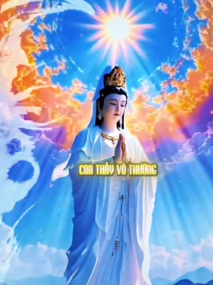 Con thấy vô thường.. ###Conduonggiacngo63  ###Quayvaotrongtâmthưc63  ###xuhuongphâtviral 