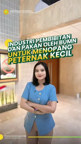 #SobatTernak, Pemerintah akan menguatkan ekosistem perunggasan nasional agar lebih kuat dan lebih berpihak pada peternak kecil. Melalui investasi hingga Rp20 triliun, BUMN ditugaskan untuk memperkuat pembibitan dan industri pakan bukan untuk menggantikan peternak rakyat, tetapi agar ketersediaan bibit unggul dan pakan lebih terjamin, stabil, dan terjangkau. Seperti yang disampaikan Menteri Pertanian Andi Amran Sulaiman:  “Pembibitan harus di-back up BUMN, tetapi budidaya tetap di tangan peternak rakyat.” Artinya, peternak tetap menjadi pelaku utama. BUMN hadir sebagai penyangga agar peternak tidak lagi kesulitan bibit, pakan, maupun akses pembiayaan. Langkah ini sejalan dengan visi pemerintah untuk membangun kedaulatan pangan dan kemandirian protein hewani. Dari hulu ke hilir pembibitan, pakan, budidaya hingga distribusi semuanya diperkuat demi ketahanan pangan dan kesejahteraan peternak. #DitjenPKH #KementanRI #JayalahPeternakanIndonesia #Haripahlawan2025         