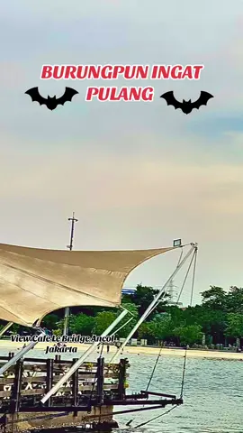 #burungpuningatpulang#fulllirik#tembangkenangan#popnostalgia#